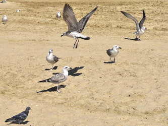 Similar image 22007404