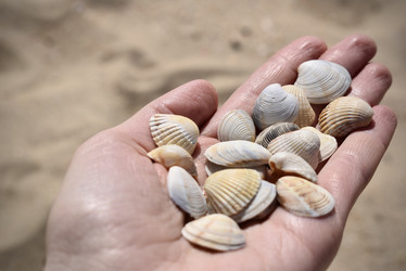 Similar image 22007405