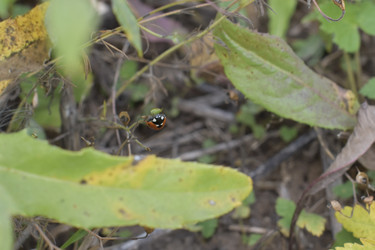 Similar image 22007412