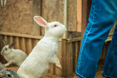 Similar image 22014639