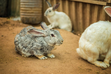 Similar image 22014640