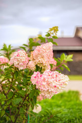 Similar image 22009589