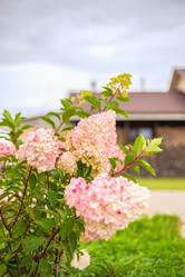 Similar image 22009590