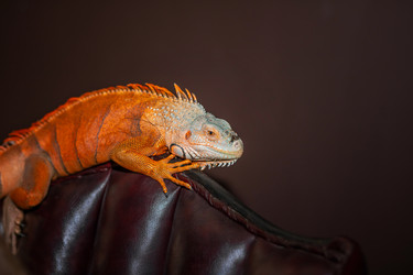 Similar image 22009591