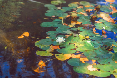 Similar image 22009592