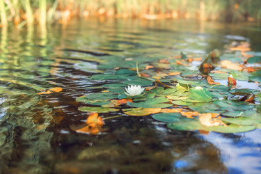 Similar image 22009593