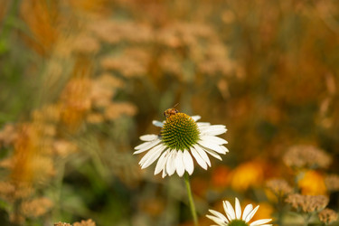 Similar image 22009594