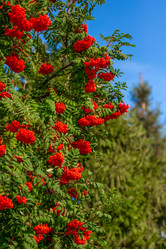 Similar image 22009597