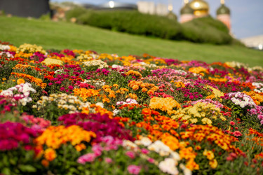 Similar image 22009599