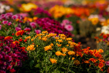 Similar image 22009600