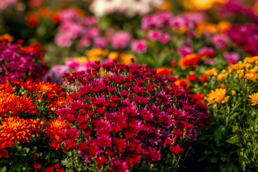 Similar image 22009601