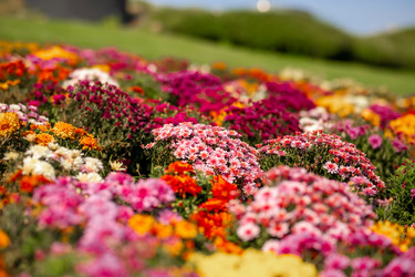 Similar image 22009602