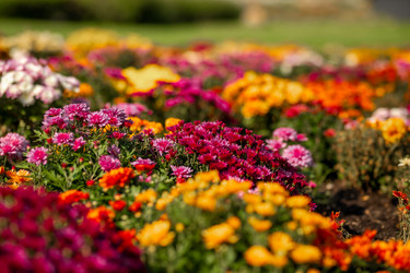 Similar image 22009603