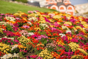 Similar image 22009604