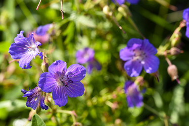 Similar image 22007233