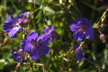 Similar image 22007234