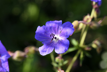 Similar image 22007235