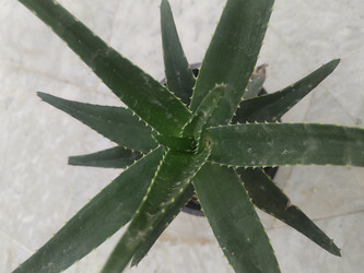 Similar image 22008500