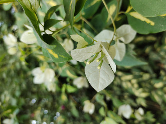 Similar image 22008502