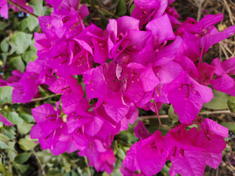 Similar image 22008503