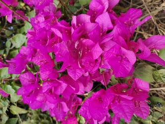 Similar image 22008504