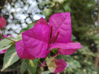 Similar image 22008505