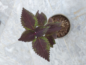 Similar image 22008512