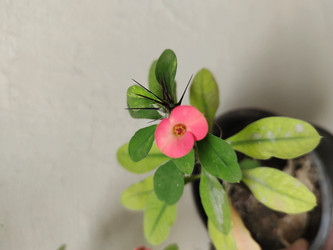 Similar image 22008516