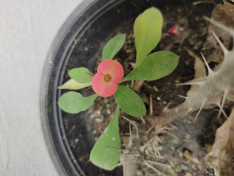 Similar image 22008518