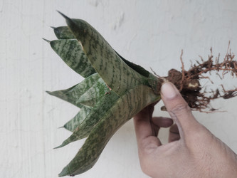 Similar image 22008521