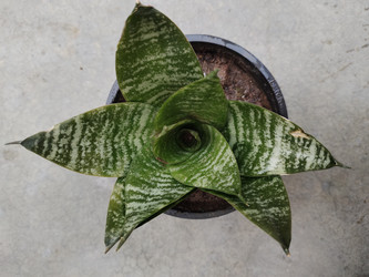 Similar image 22008522