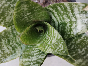 Similar image 22008525