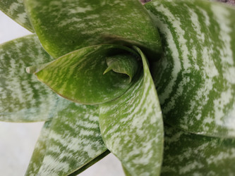 Similar image 22008526