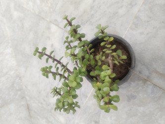 Similar image 22008527