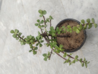 Similar image 22008529