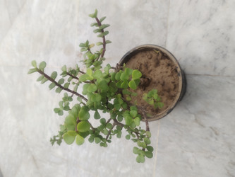 Similar image 22008531