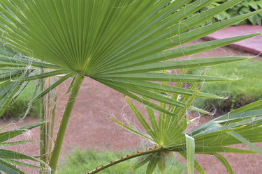 Similar image 22007414