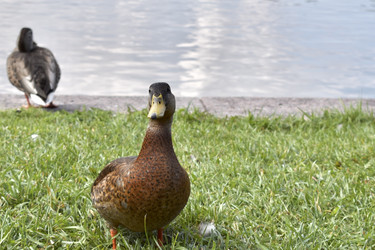 Similar image 22007415