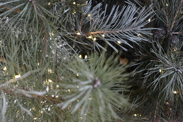 Similar image 22007422