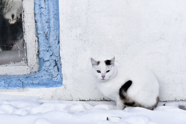 Similar image 22007425