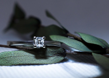 Similar image 22007429