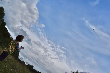 Similar image 22007433