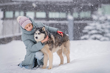 Similar image 22008613