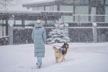 Similar image 22008614