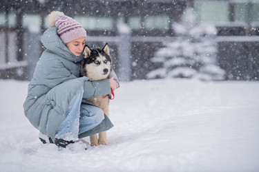 Similar image 22008615