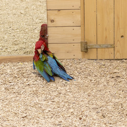 Similar image 22008799