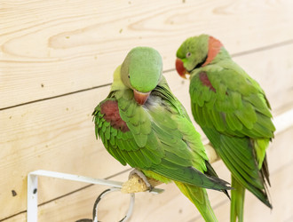 Similar image 22008801