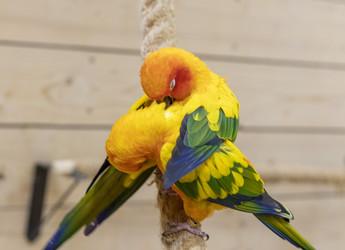 Similar image 22008804