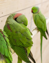 Similar image 22008805