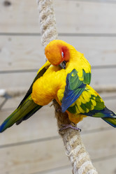 Similar image 22008806